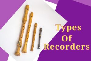 The Different Types Of Recorder Instruments – Woodwind Breeze