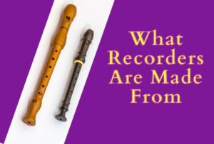 What Can Recorders Be Made Of – Woodwind Breeze